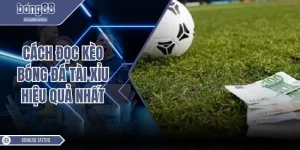 Cách đọc kèo bóng đá tài xỉu