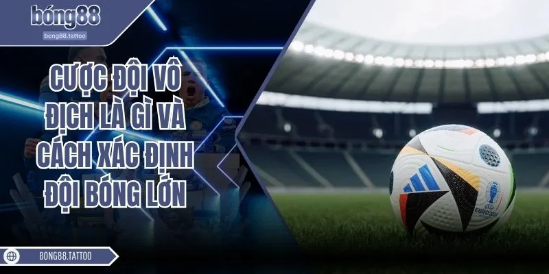 Cược đội vô địch là gì