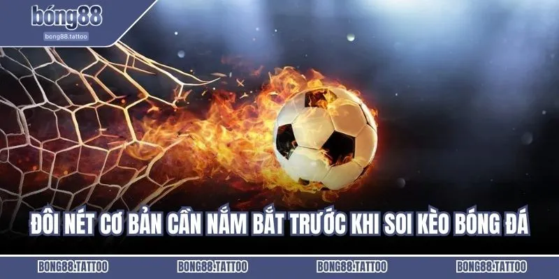 Đôi nét cơ bản cần nắm bắt trước khi soi kèo bóng đá