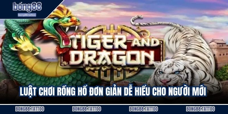 Luật chơi rồng hổ đơn giản dễ hiểu cho người mới