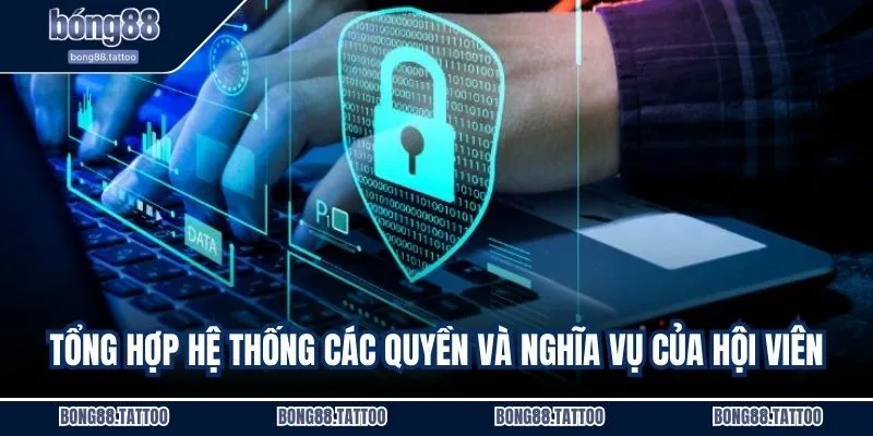 Tổng hợp hệ thống các quyền và nghĩa vụ của hội viên